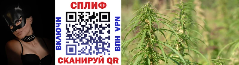 Наркошоп купить ГАШ  Alpha PVP  Меф мяу мяу  Буйнакск