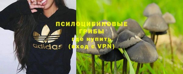 бошки Зеленокумск
