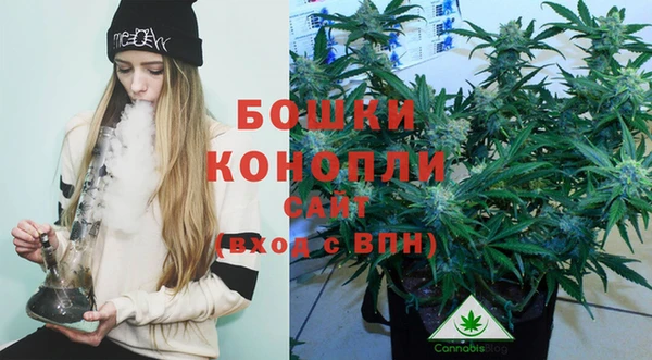 крисы Зерноград