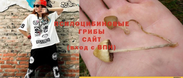 бошки Зеленокумск
