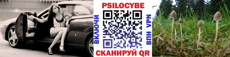 Галлюциногенные грибы мицелий  Купить где  Буйнакск 
