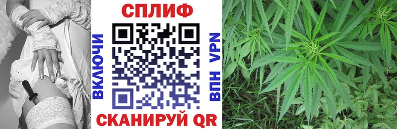 Бошки марихуана гибрид  Купить закладки  Буйнакск 